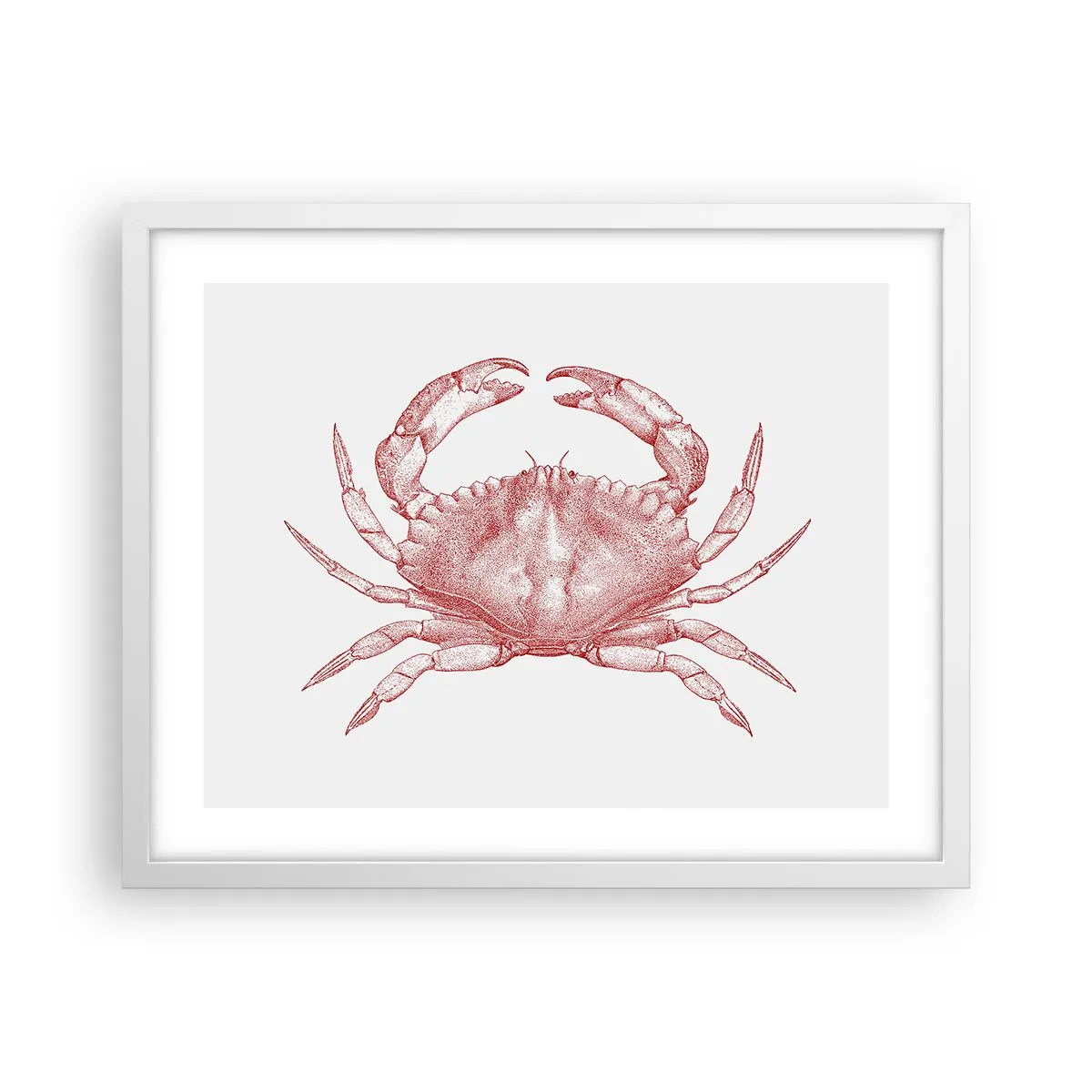 Poster in white frmae - Crab Like No Other - 50x40 cm
