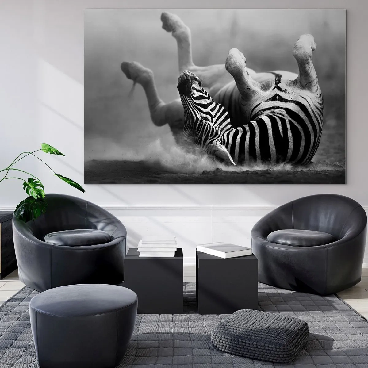 Glass picture - A zebra lying down in the African savannah - 70x50cm - Rolling out Laughing - Modern wall decoration for the living room and bedroom ARTTOR