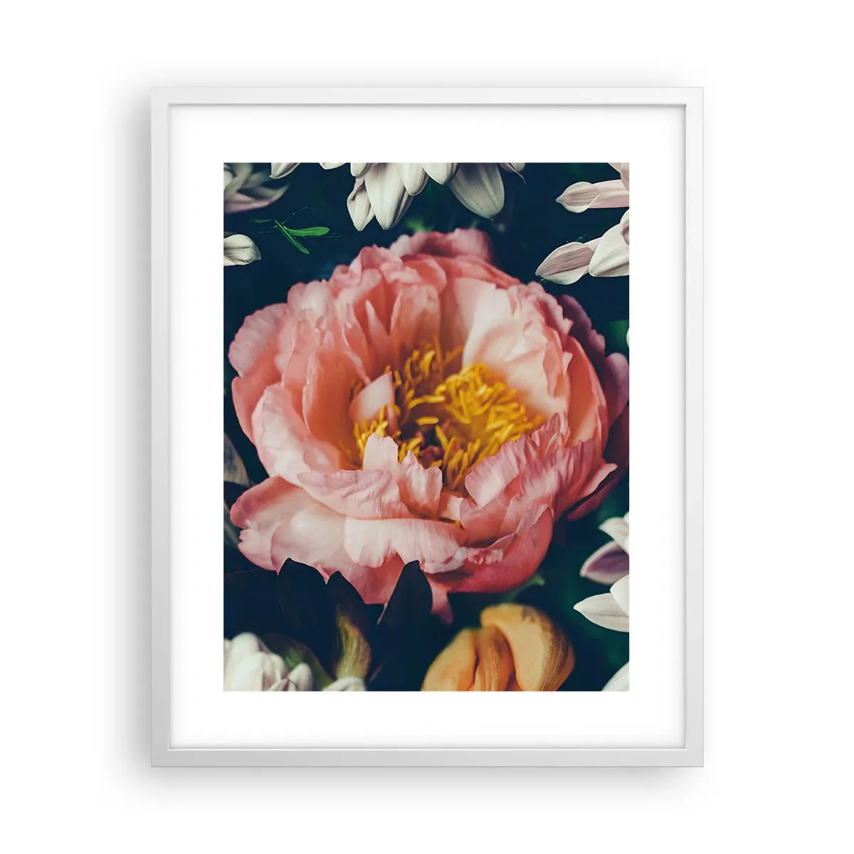Poster in white frmae - In Baroque Style - 40x50 cm