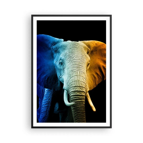 Poster in black frame - Eccentric, Not a Weirdo - 70x100 cm