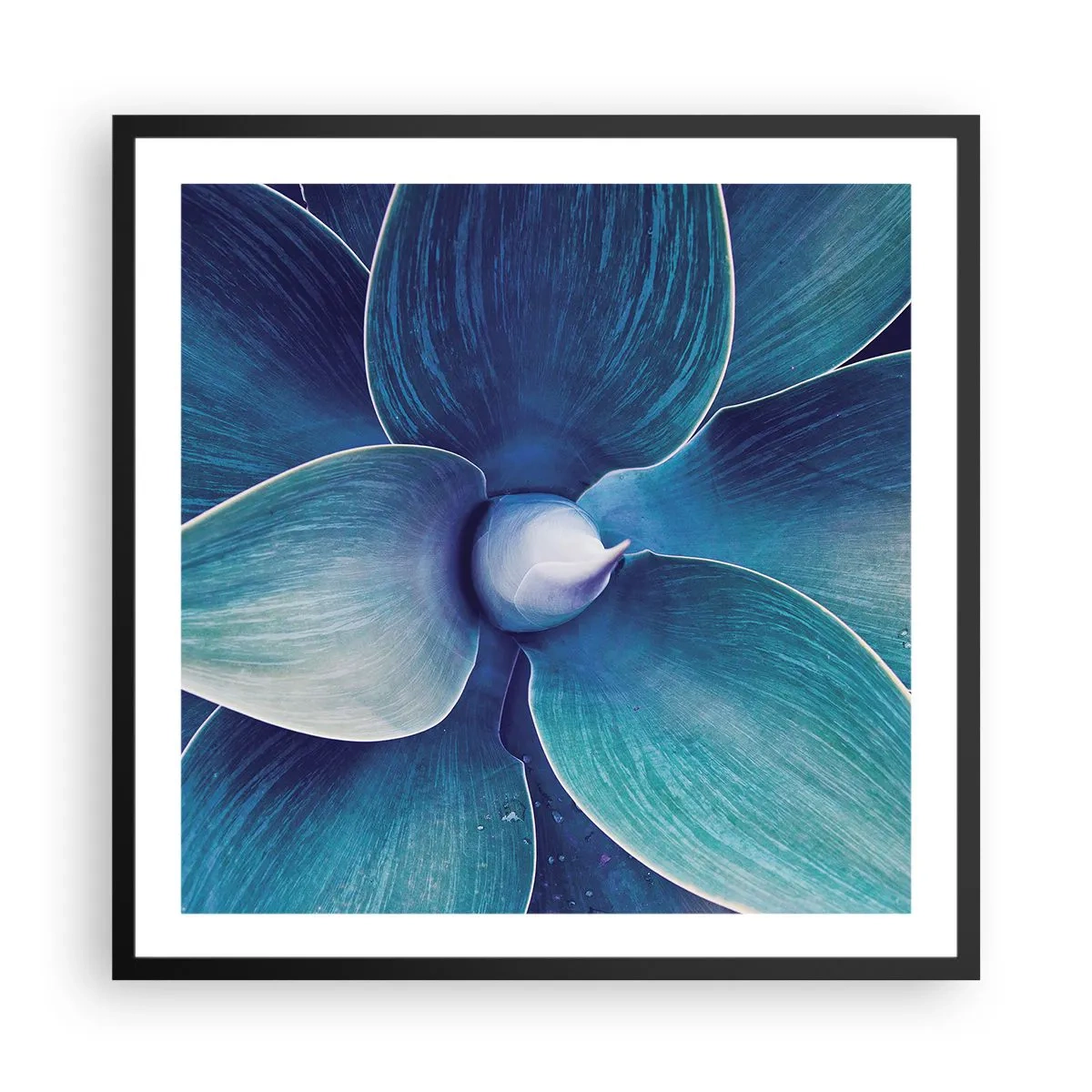 Poster in black frame - Blue from the Sky - 60x60 cm