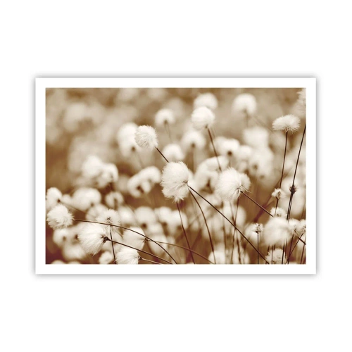 Poster - Fluffy field - 100x70 cm