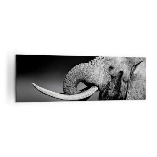 Canvas picture - Yes, That's Right - 160x50 cm