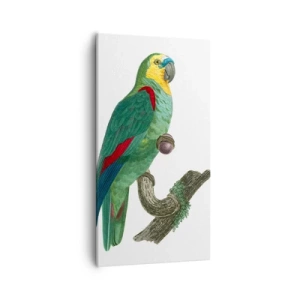Canvas picture - Parrot Portrait - 55x100 cm