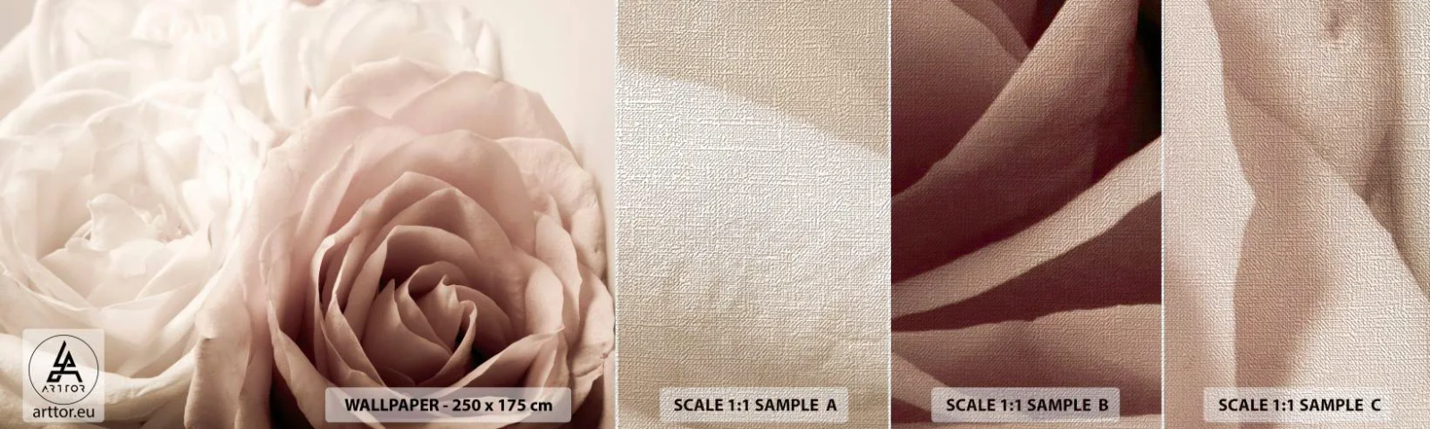 Photo Wallpaper Sample Premium Canvas - In the Heart of a Rose - Roses, Flowers, Romantic - 100x30 cm