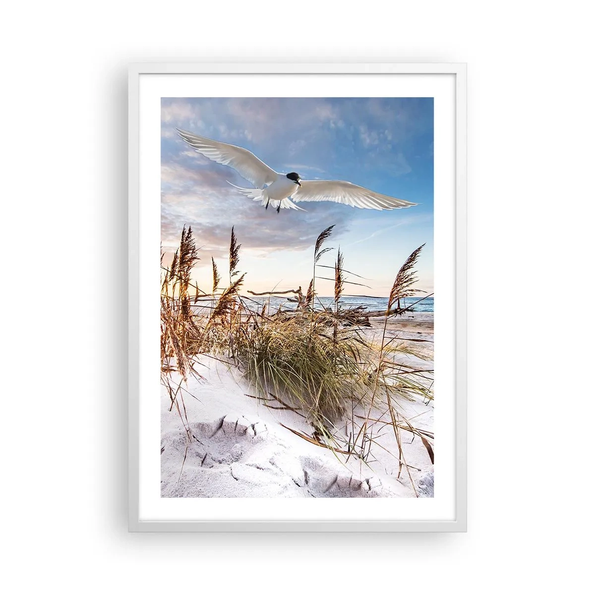 Poster in white frmae - Wind from the Sea - 50x70 cm