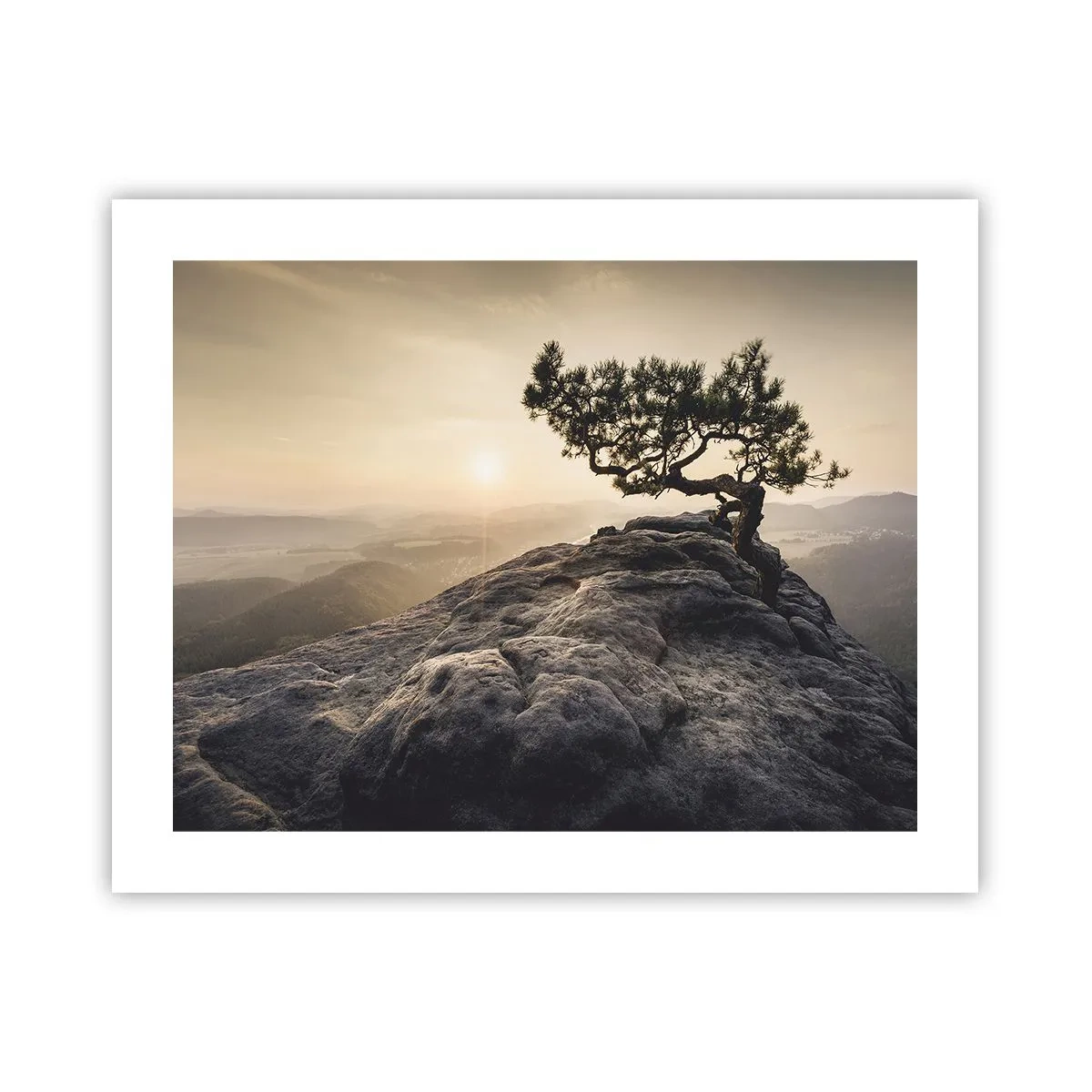 Poster - Life Always Wins - 50x40 cm