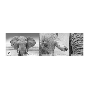 Photo Wallpaper Sample Premium Canvas - Welcome to My World - Elephant, Africa, Animals - 100x30 cm