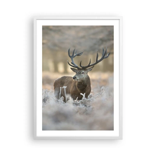 Poster in white frmae - Chilly Morning - 50x70 cm
