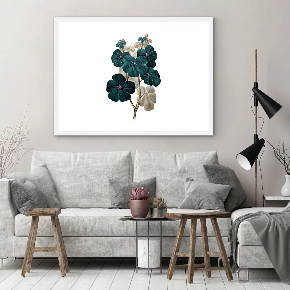 Poster in white frmae - From the Old Herbarium - 70x50 cm