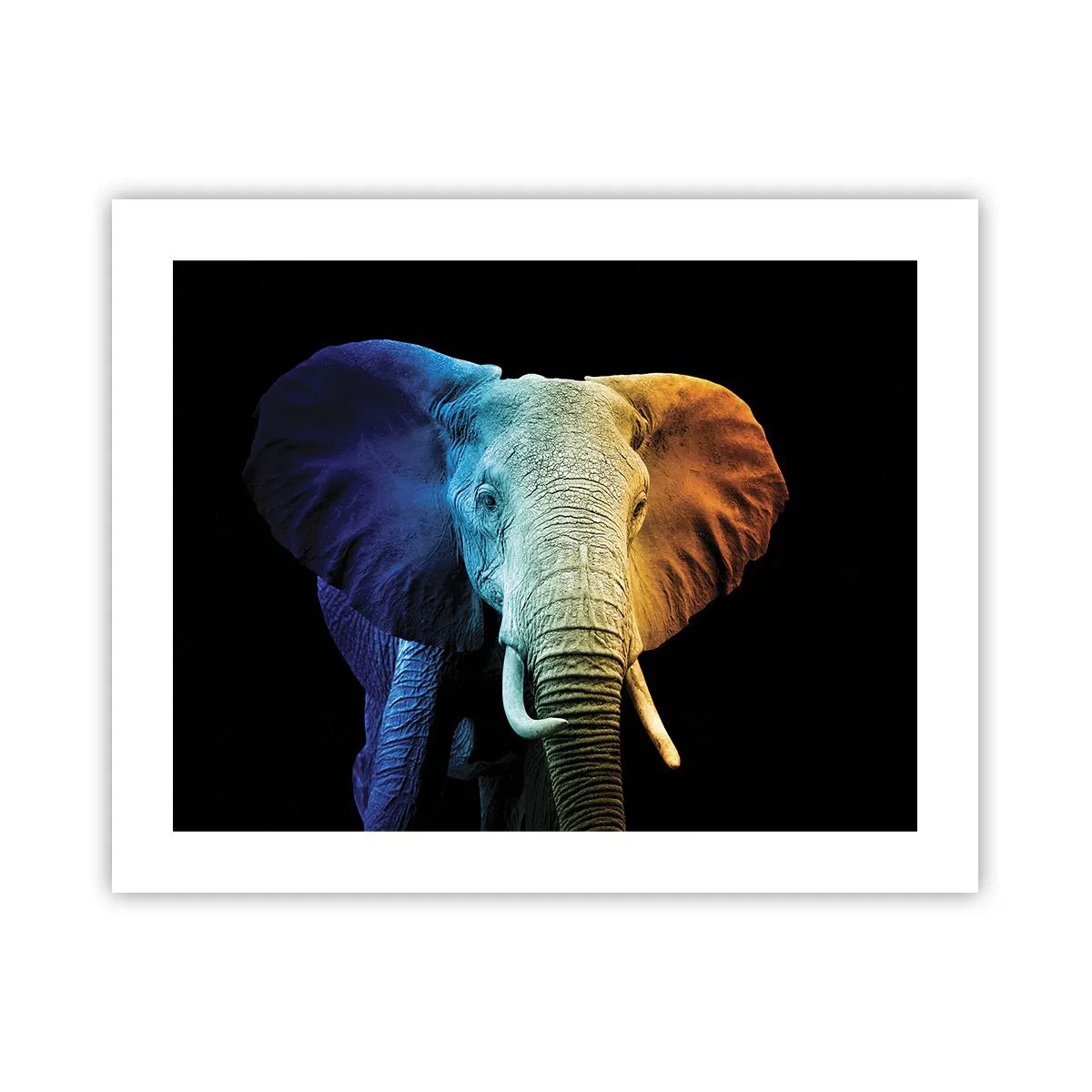 Poster - Eccentric, Not a Weirdo - 50x40 cm
