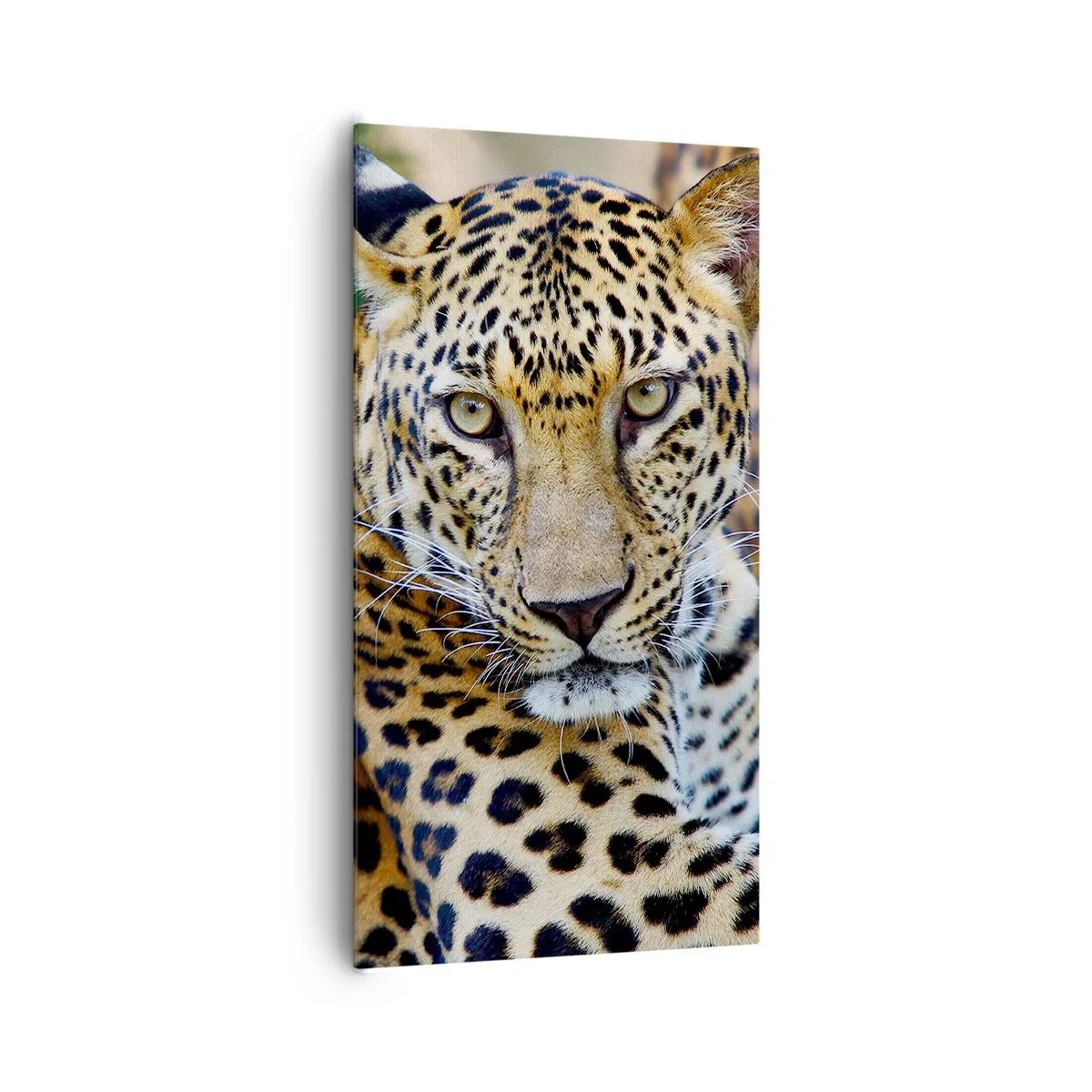 Canvas picture - Wild and Calm - 65x120 cm