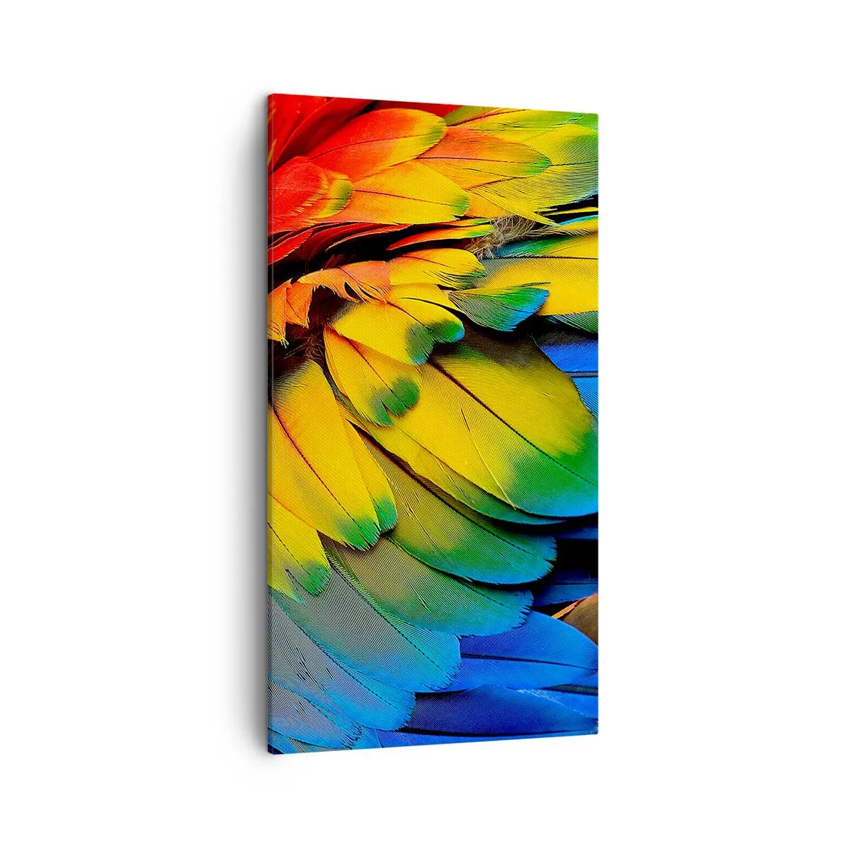 Canvas picture - Bird Of Paradise - 45x80 cm