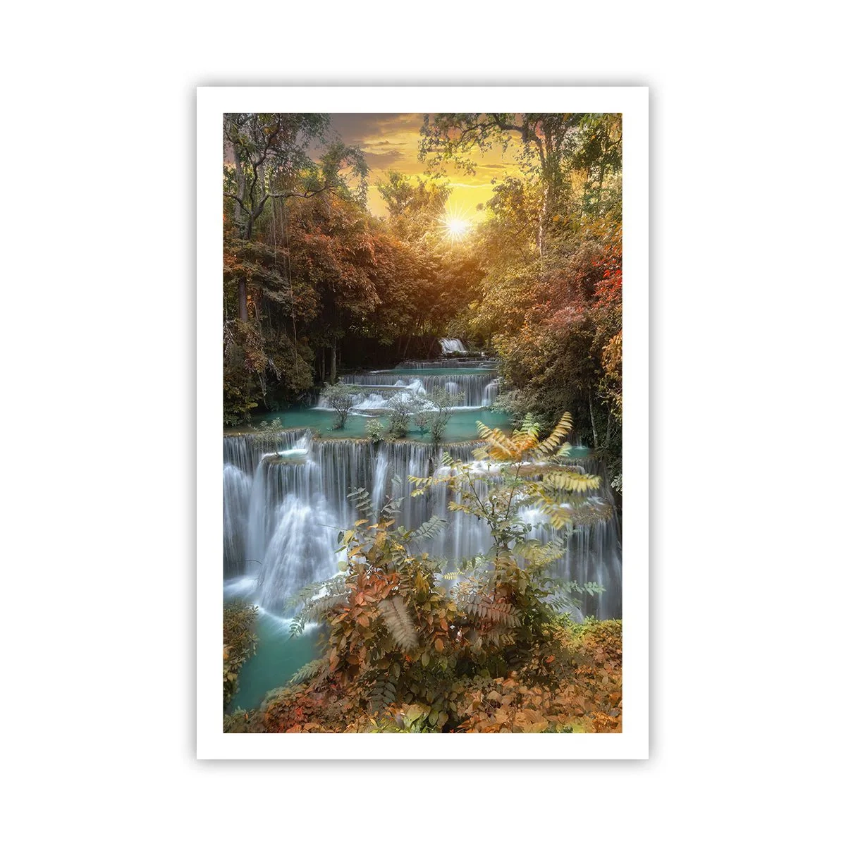 Poster - Hidden Forest Treasure - 61x91 cm