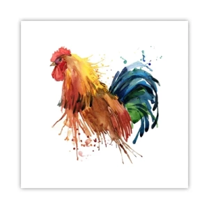 Poster - King Rooster - 50x50 cm