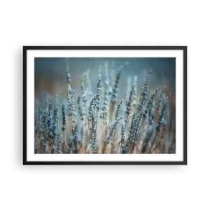 Poster in black frame - Fragrant Grass - 70x50 cm