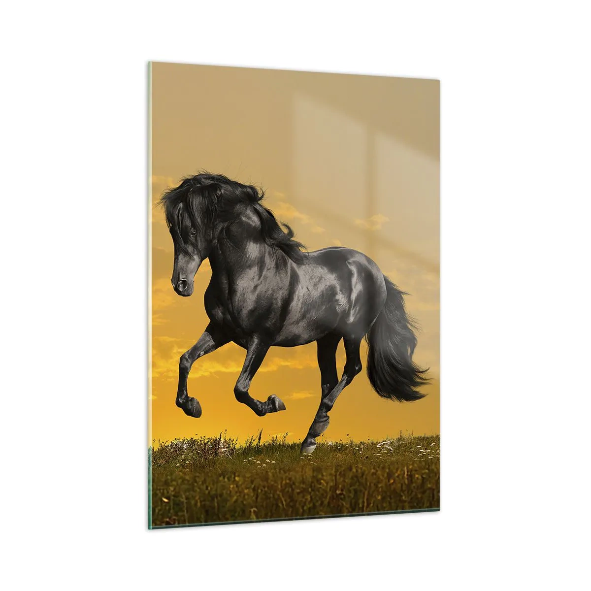 Glass picture - Beautiful, Free and Wild - 50x70 cm