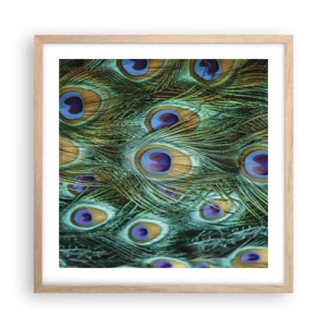 Poster in light oak frame - Peacock Eyes - 50x50 cm