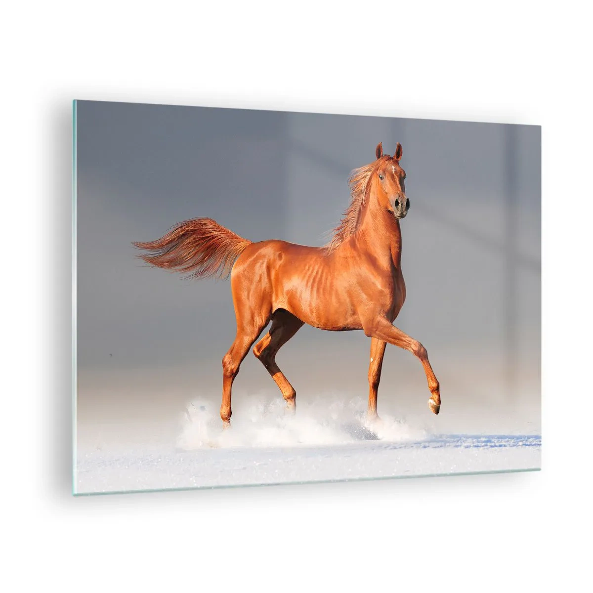 Glass picture - A galloping horse against a bright sky - 70x50cm - Dancing Grace - Modern wall decoration for the living room and bedroom ARTTOR
