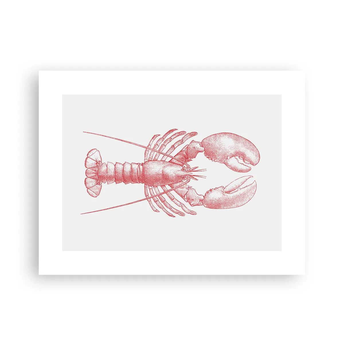 Poster - Lobster Worthy of a Lobster - 40x30 cm