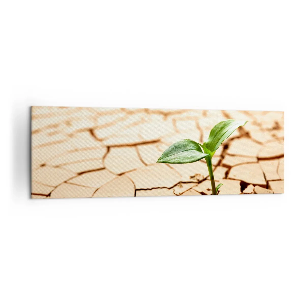 Canvas picture - Untamed Life Force - 160x50 cm