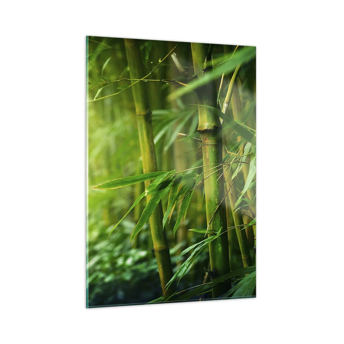 Glass picture - Getting to Know the Green - 50x70 cm