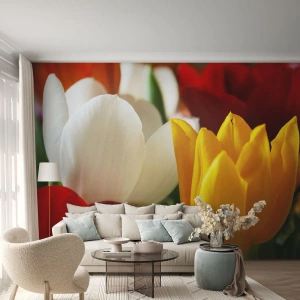 Photo Wallpaper Premium Sand - Tulip Fever - Flowers, Tulips, Bouquet of flowers - 100x70 cm