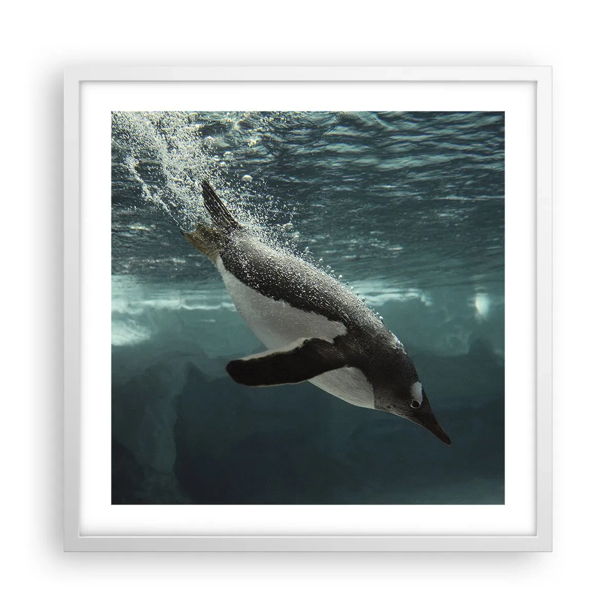 Poster in white frmae - Welcome to My World - 50x50 cm