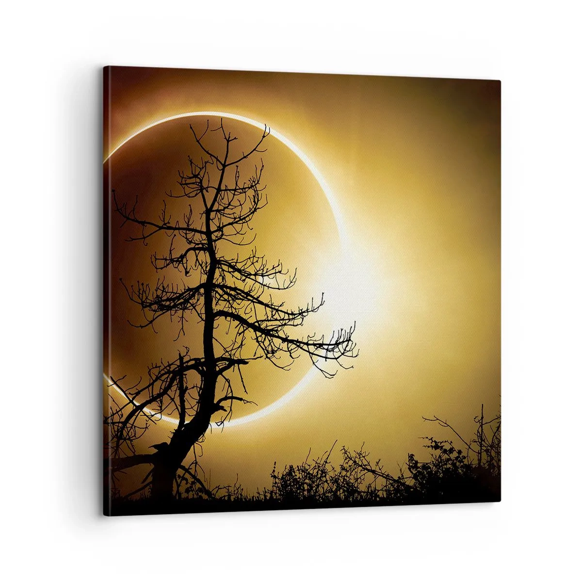 Canvas picture - Total Eclipse - 60x60 cm