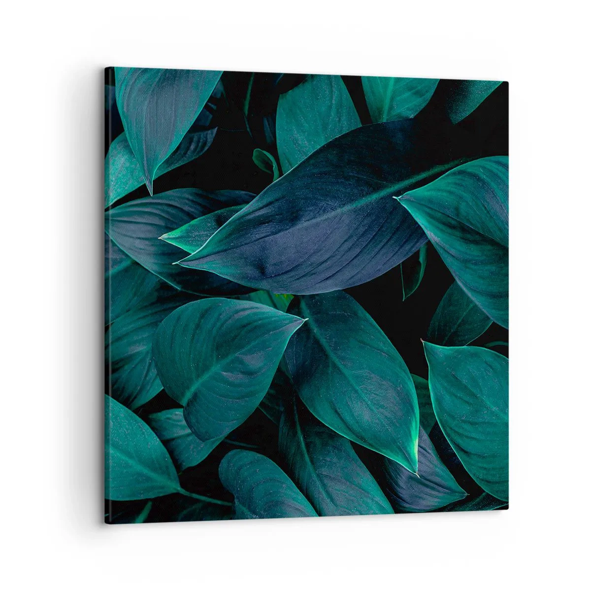 Canvas picture - The Green Itself - 50x50 cm