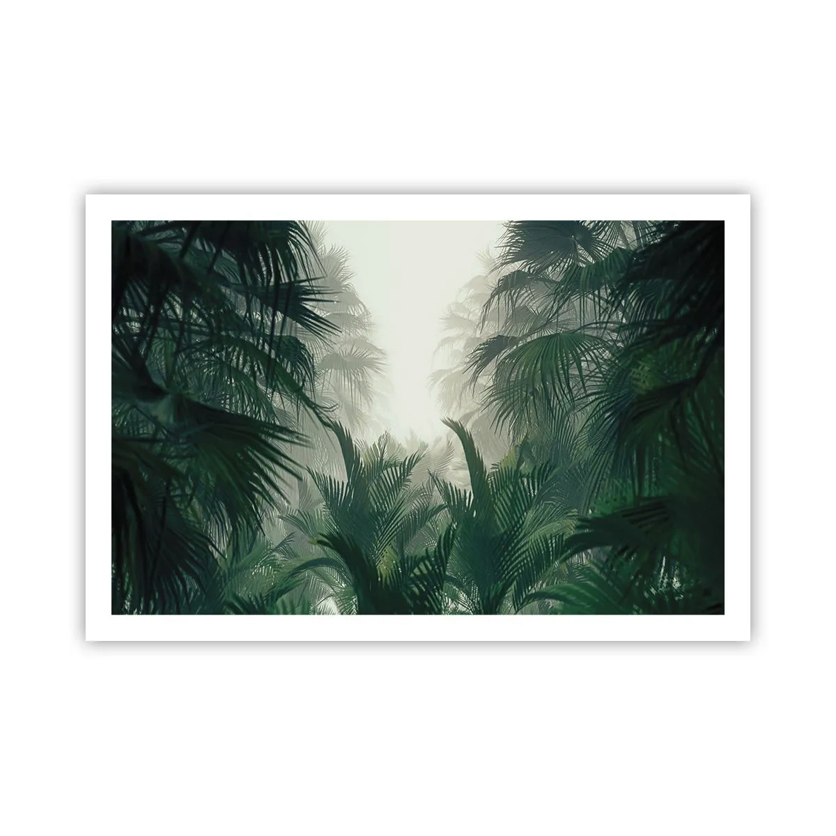 Poster - Tropical Secret - 91x61 cm