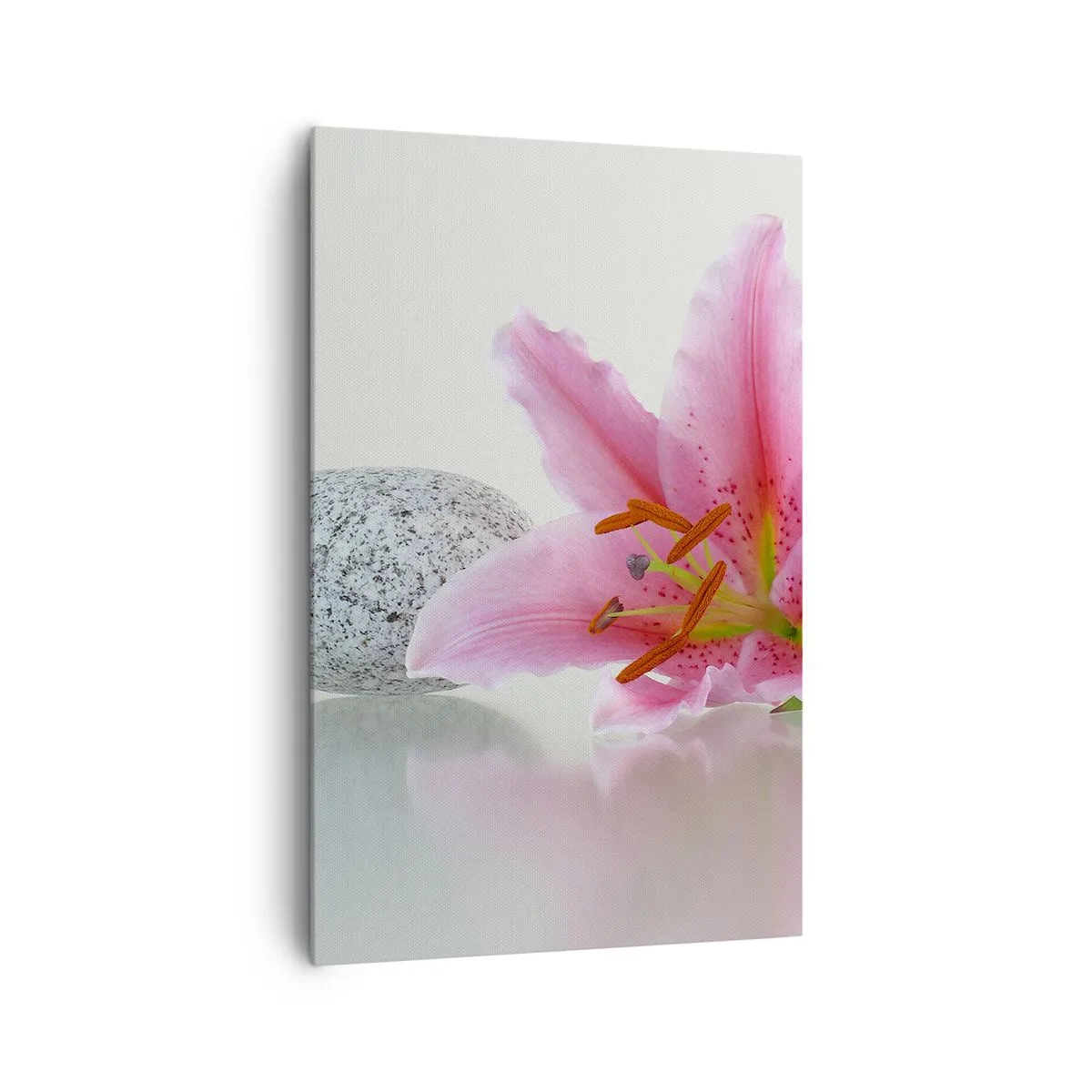 Canvas picture - Study in Pink, Grey and White - 80x120 cm