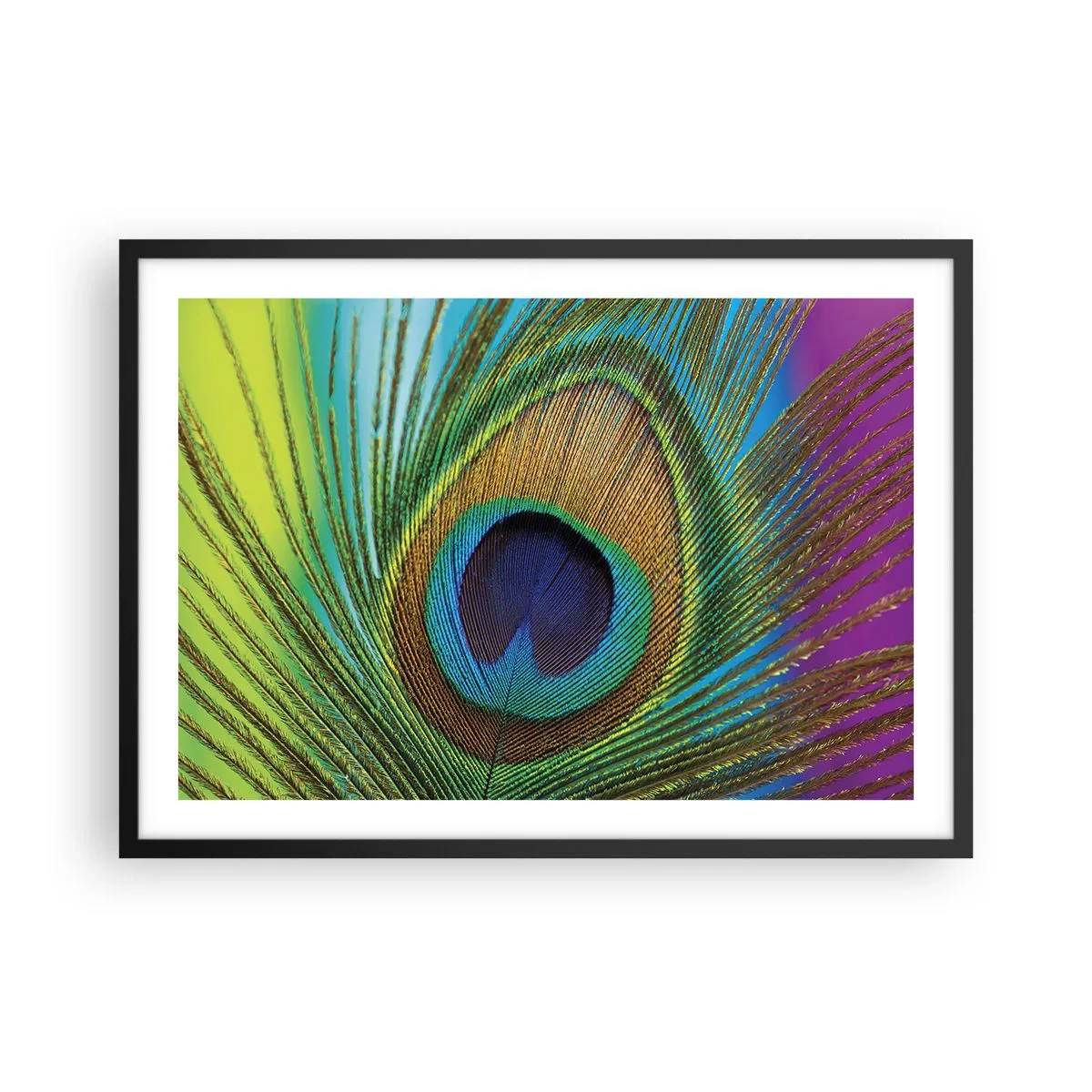 Poster in black frame - Eye to Eye - 70x50 cm