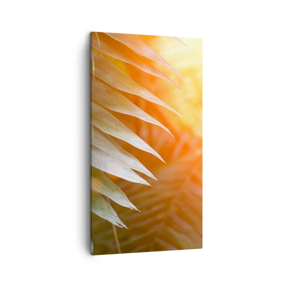 Canvas picture - Morning in the Jungle - 45x80 cm