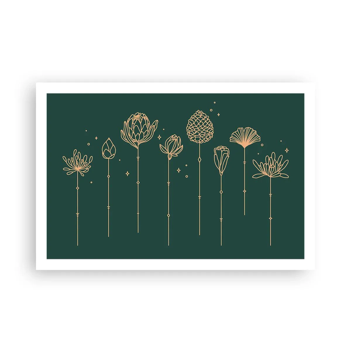 Poster - The Herb Family - 91x61 cm