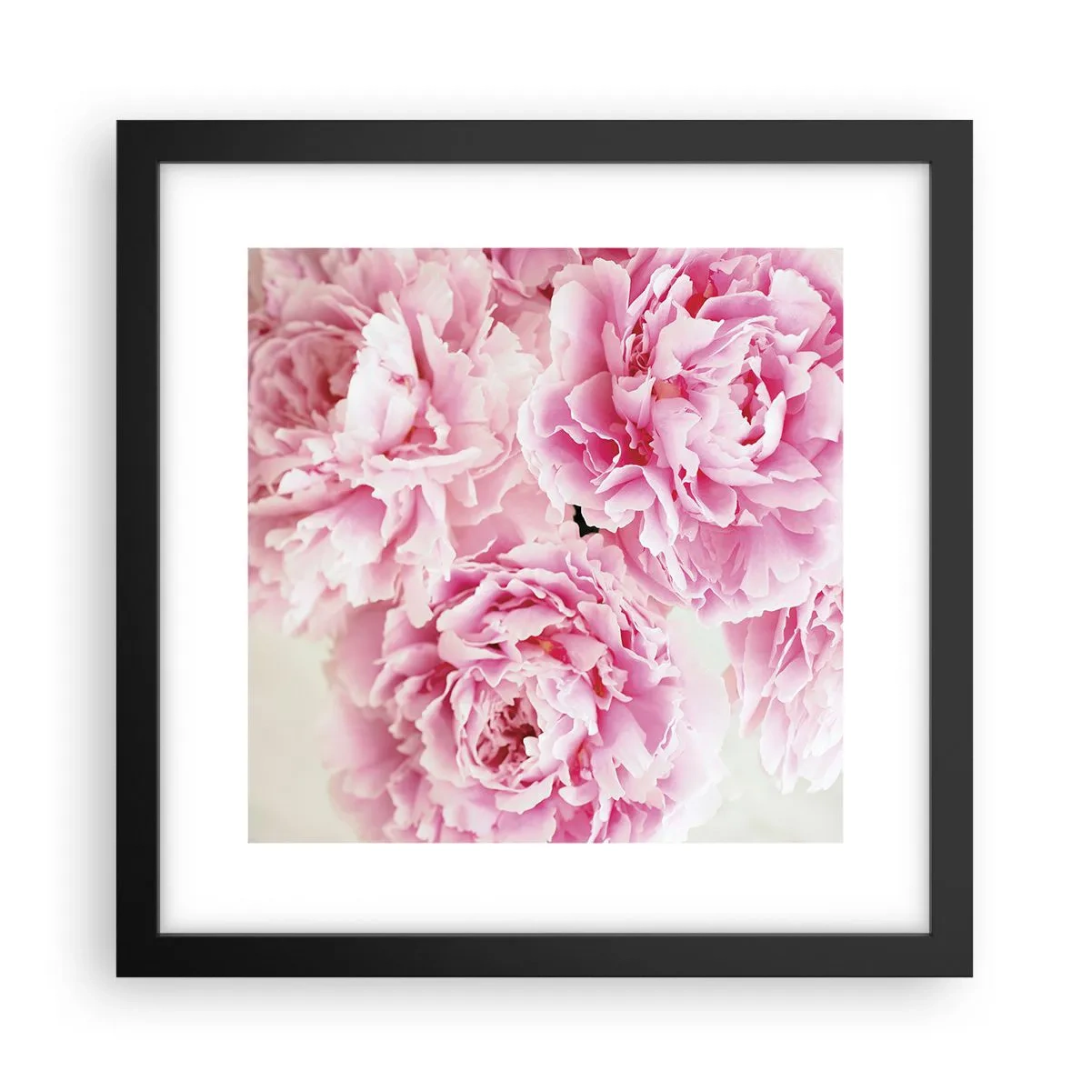 Poster in black frame - In Pink Splendour - 30x30 cm