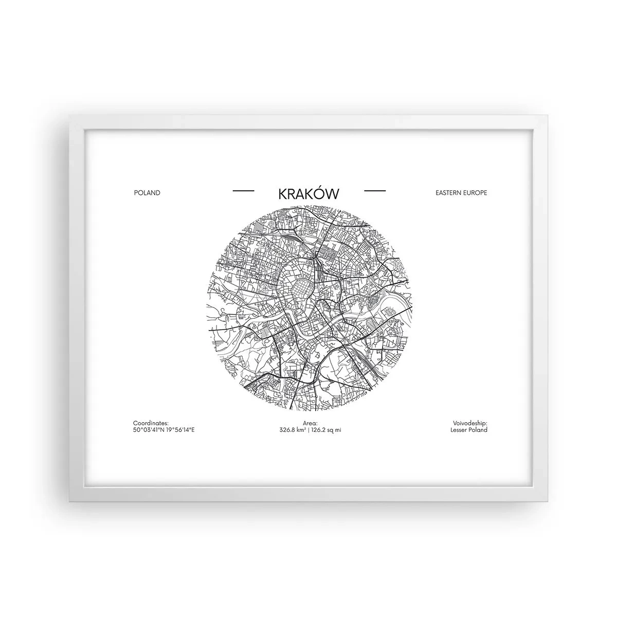 Poster in white frmae - Anatomy of Crocow - 50x40 cm