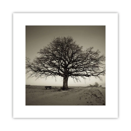 Poster - From Here to Eternity - 30x30 cm