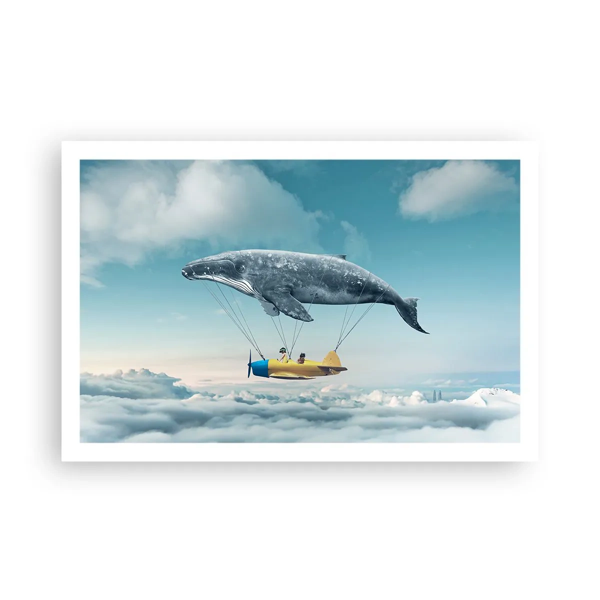 Poster - Why Not? - 91x61 cm