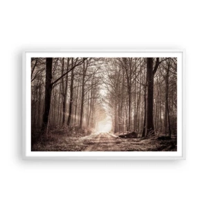 Poster in white frmae - Cathedral of the Forest - 91x61 cm