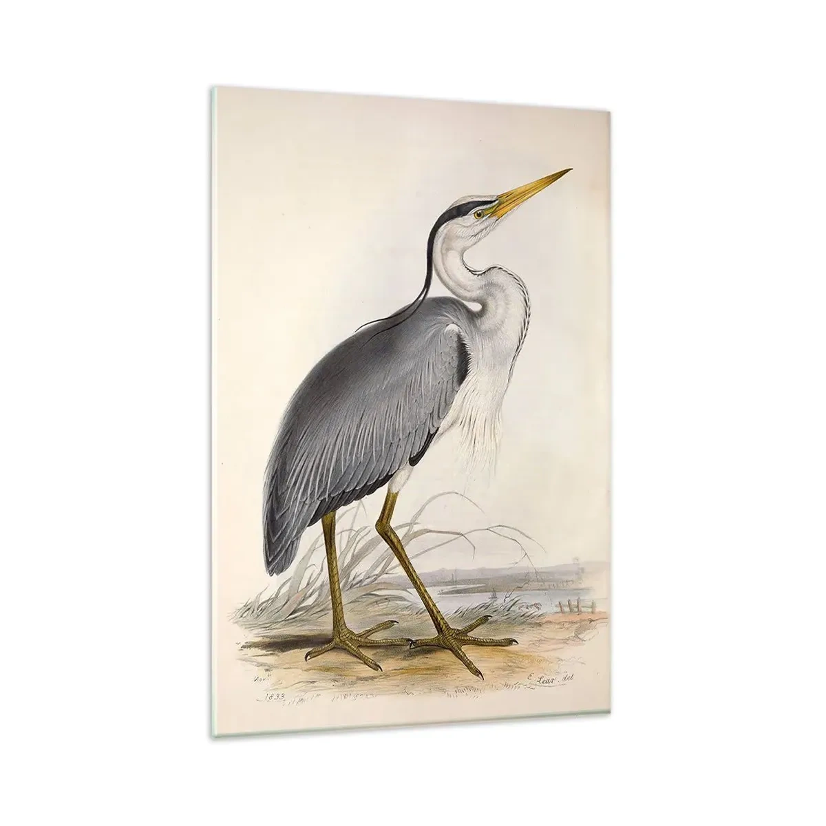 Glass picture - Charm of a Heron - 80x120 cm