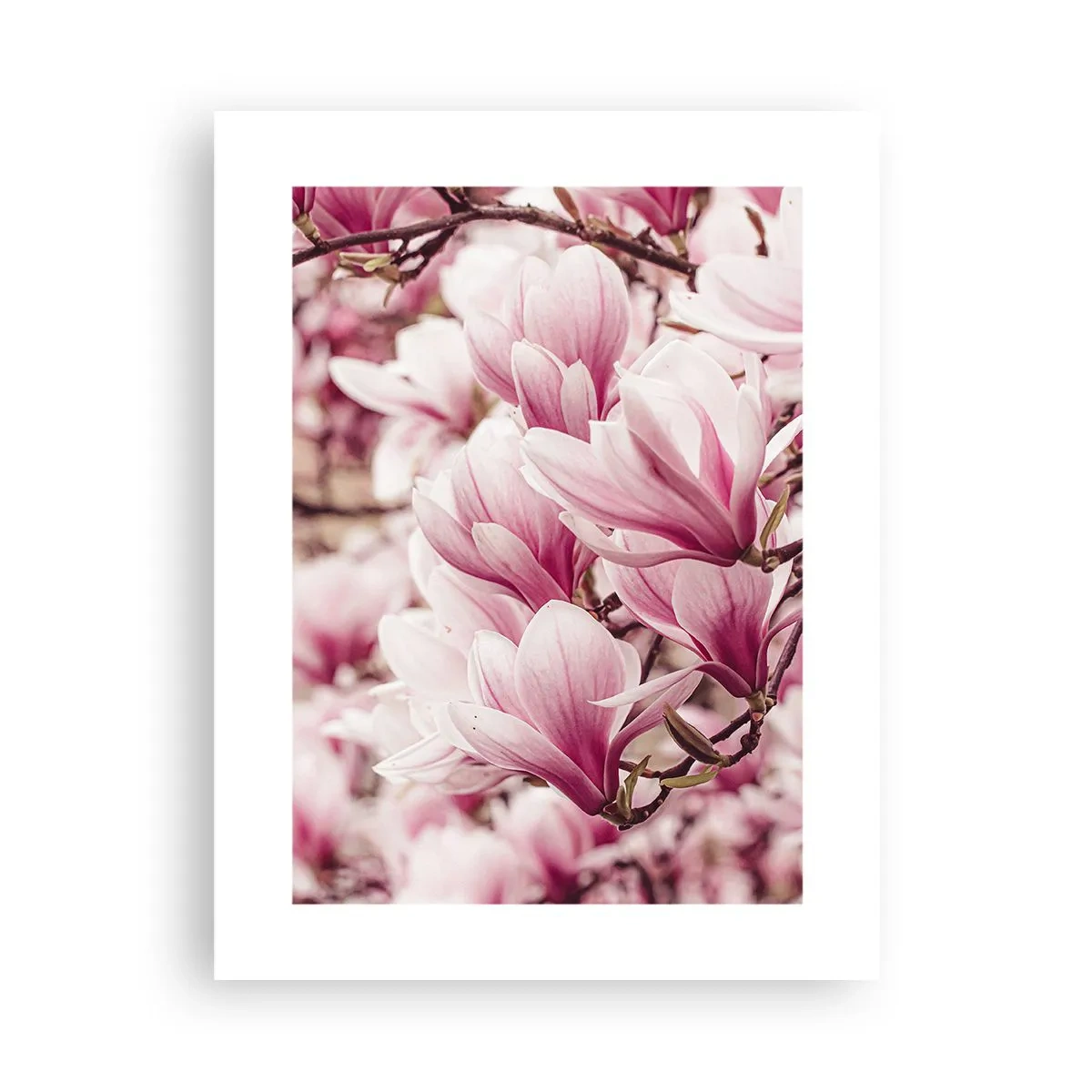 Poster - Spring is Pink - 30x40 cm