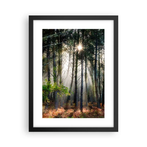 Poster in black frame - Woodland Area - 30x40 cm