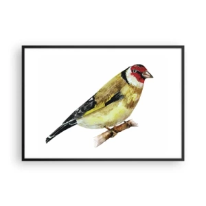 Poster in black frame - Bird Portrait  - 100x70 cm