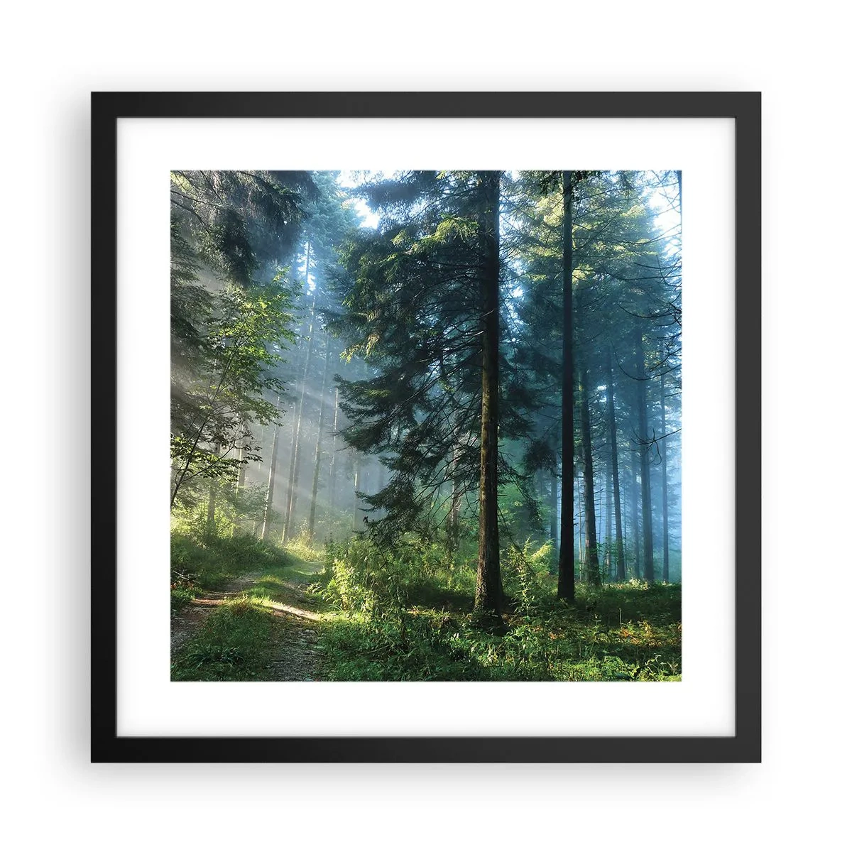 Poster in black frame - Radiant at Dawn - 40x40 cm