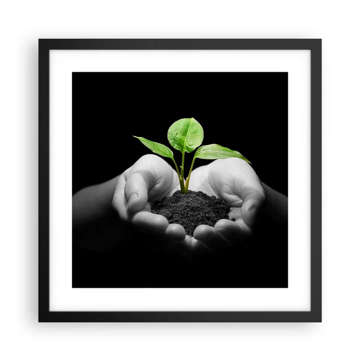 Poster in black frame - I Love Nature, I Protect It - 40x40 cm