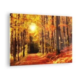 Glass picture - Autumn forest bathed in golden sunlight - 70x50cm - Golden Autumn on a Forest Path - Modern wall decoration for the living room and bedroom ARTTOR