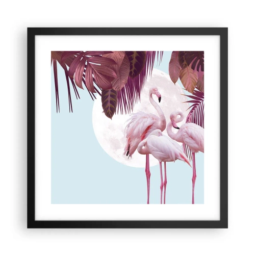 Poster in black frame - Three Bird Graces - 40x40 cm