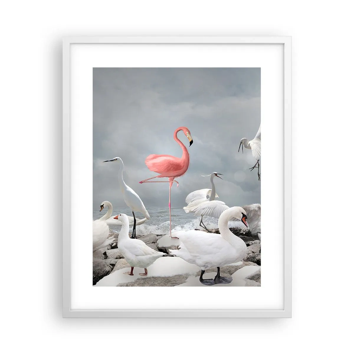 Poster in white frmae - Where Did I Come from? - 40x50 cm