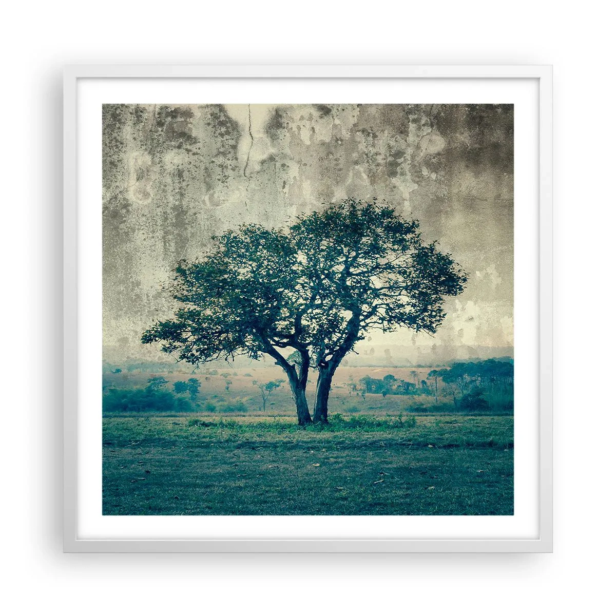 Poster in white frmae - Apple Tree in Blue? - 60x60 cm